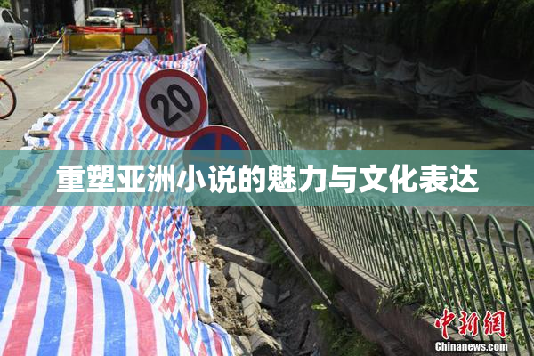 重塑亚洲小说的魅力与文化表达