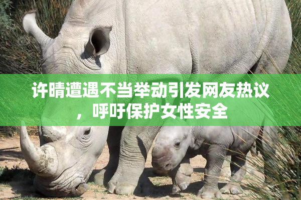 许晴遭遇不当举动引发网友热议，呼吁保护女性安全