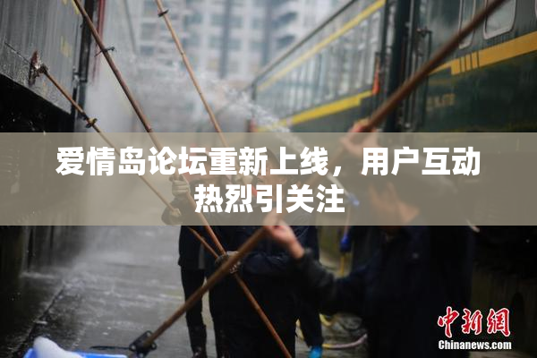 爱情岛论坛重新上线，用户互动热烈引关注