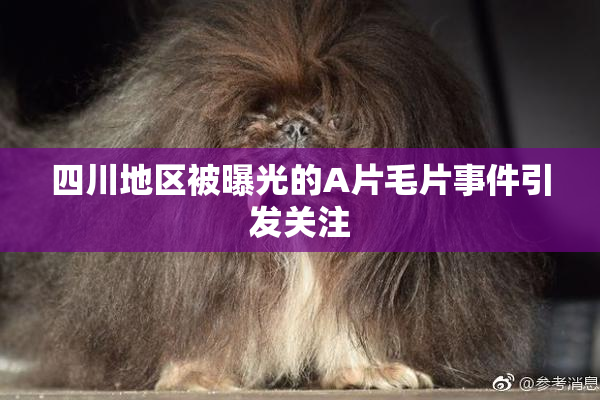 四川地区被曝光的A片毛片事件引发关注