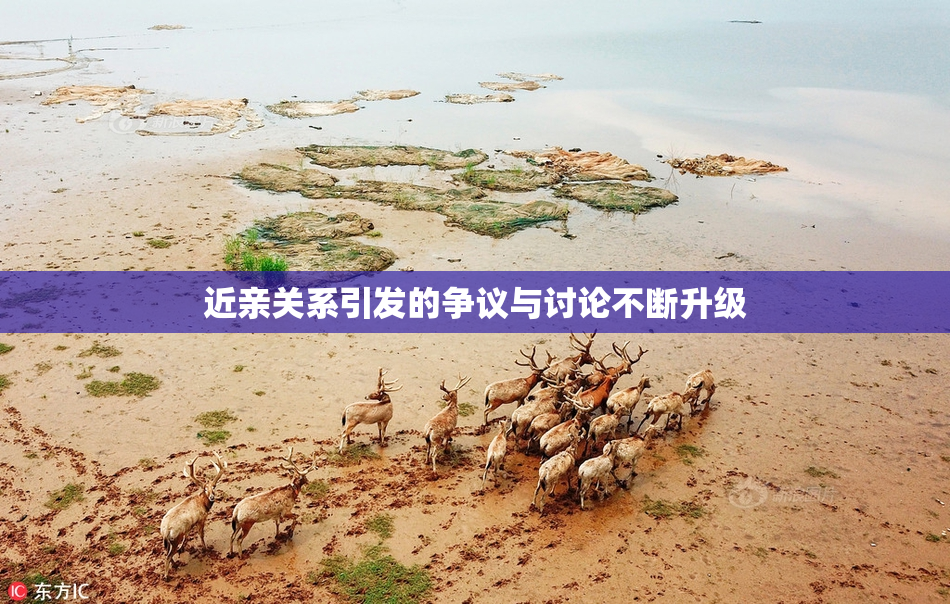 近亲关系引发的争议与讨论不断升级