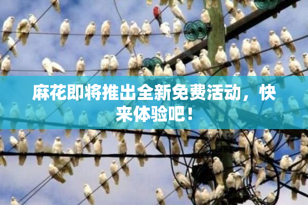 麻花即将推出全新免费活动，快来体验吧！