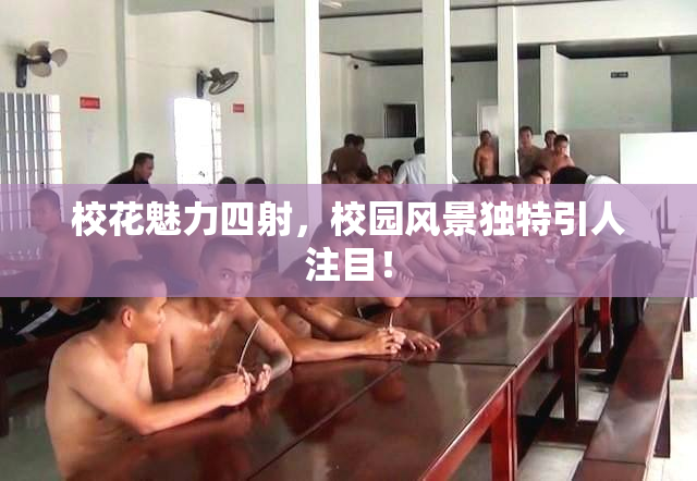 校花魅力四射，校园风景独特引人注目！