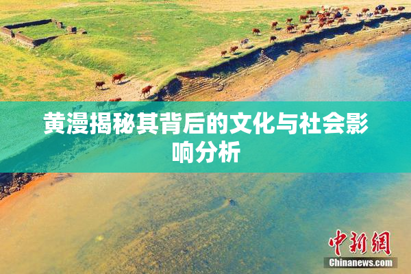 黄漫揭秘其背后的文化与社会影响分析