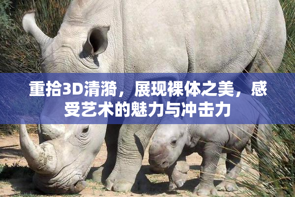 重拾3D清漪，展现裸体之美，感受艺术的魅力与冲击力