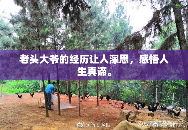老头大爷的经历让人深思，感悟人生真谛。