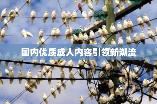 国内优质成人内容引领新潮流
