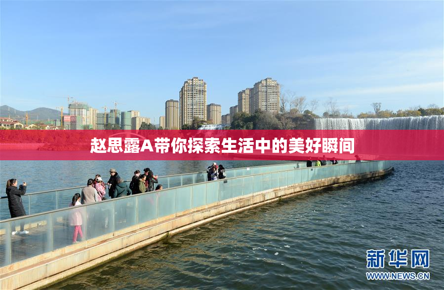 赵思露A带你探索生活中的美好瞬间
