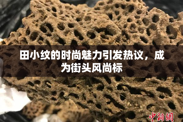 田小纹的时尚魅力引发热议，成为街头风尚标