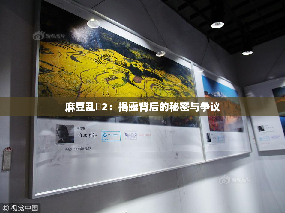 麻豆乱婬2：揭露背后的秘密与争议