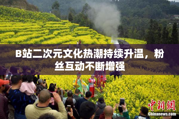 B站二次元文化热潮持续升温，粉丝互动不断增强