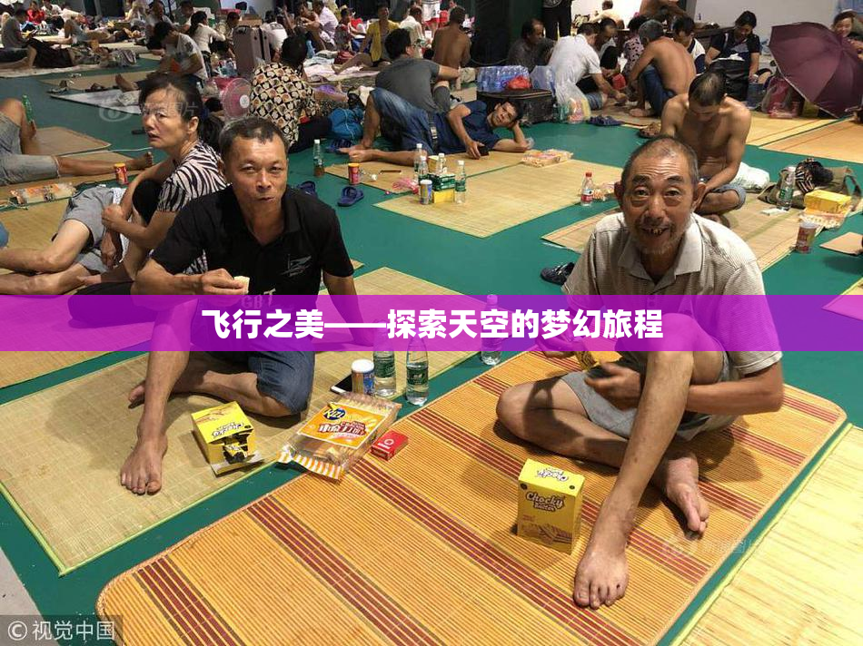 飞行之美——探索天空的梦幻旅程
