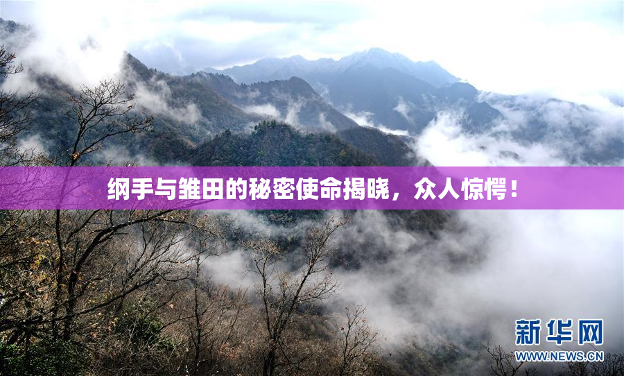 纲手与雏田的秘密使命揭晓，众人惊愕！
