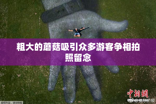 粗大的蘑菇吸引众多游客争相拍照留念