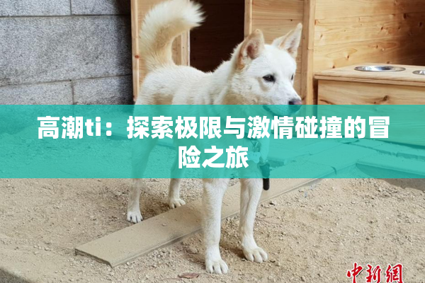 高潮ti：探索极限与激情碰撞的冒险之旅