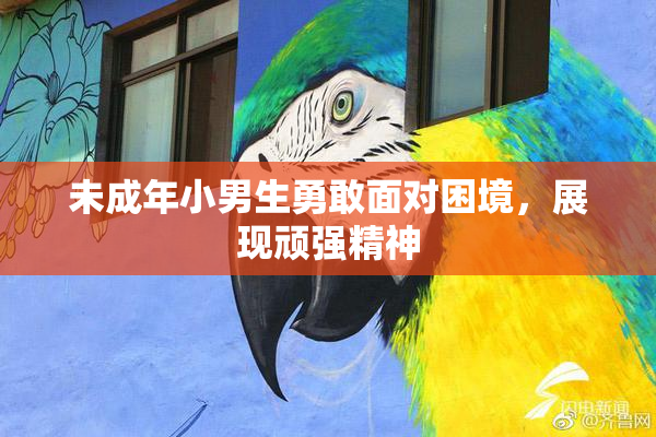 未成年小男生勇敢面对困境，展现顽强精神
