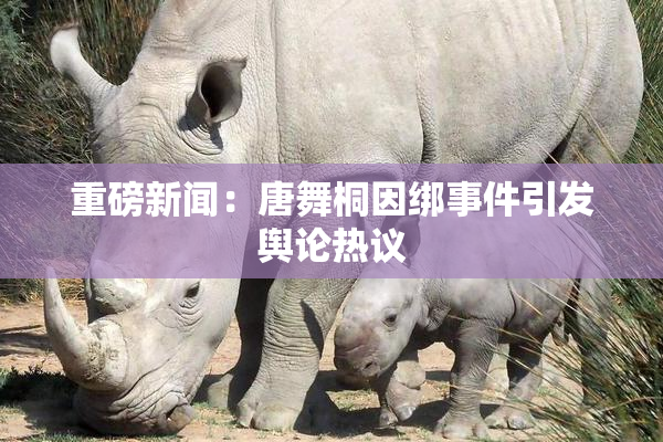 重磅新闻：唐舞桐因绑事件引发舆论热议