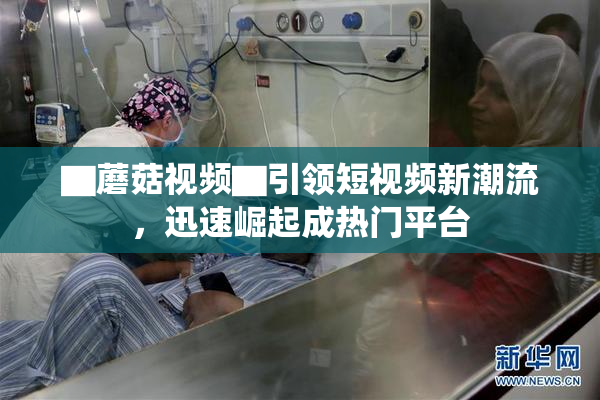 ▇蘑菇视频▇引领短视频新潮流，迅速崛起成热门平台