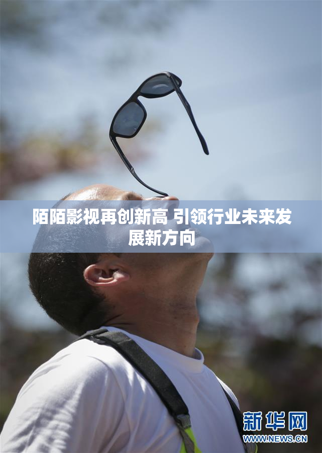 陌陌影视再创新高 引领行业未来发展新方向