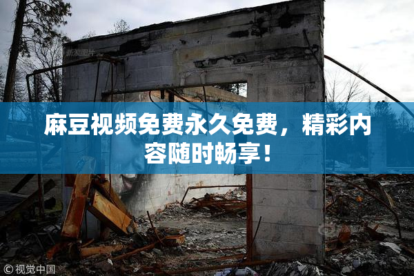 麻豆视频免费永久免费，精彩内容随时畅享！