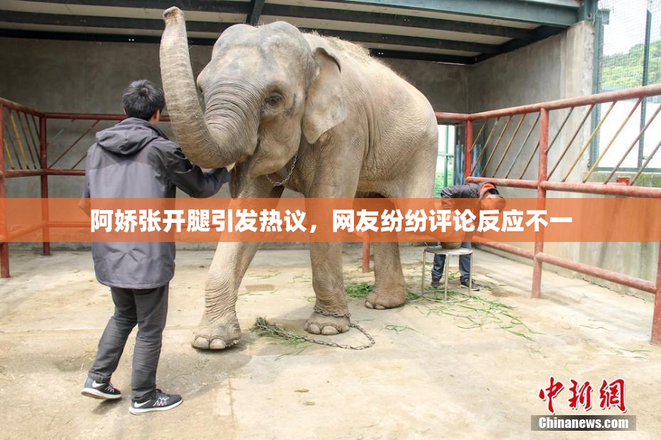 阿娇张开腿引发热议，网友纷纷评论反应不一