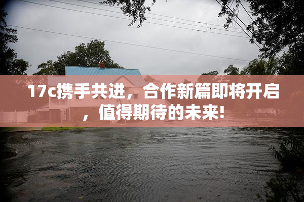 17c携手共进，合作新篇即将开启，值得期待的未来!