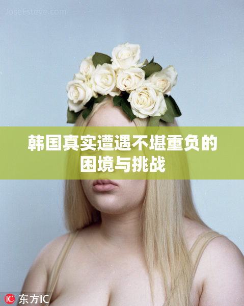 韩国真实遭遇不堪重负的困境与挑战