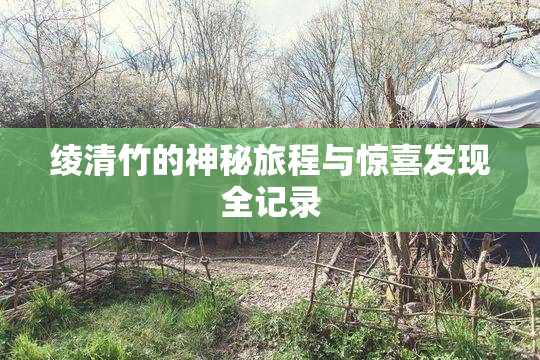 绫清竹的神秘旅程与惊喜发现全记录