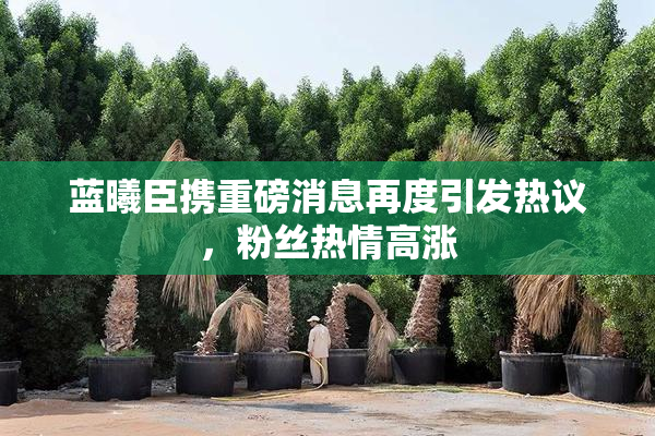 蓝曦臣携重磅消息再度引发热议，粉丝热情高涨