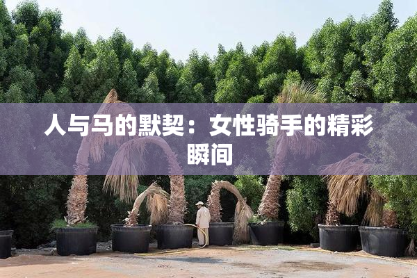 人与马的默契：女性骑手的精彩瞬间
