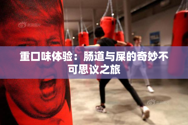 重口味体验：肠道与屎的奇妙不可思议之旅