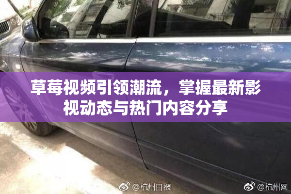 草莓视频引领潮流，掌握最新影视动态与热门内容分享