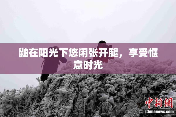 鼬在阳光下悠闲张开腿，享受惬意时光