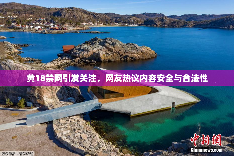 黄18禁网引发关注，网友热议内容安全与合法性