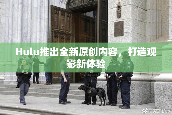 Hulu推出全新原创内容，打造观影新体验