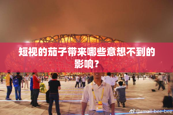 短视的茄子带来哪些意想不到的影响？