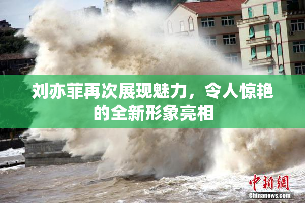 刘亦菲再次展现魅力，令人惊艳的全新形象亮相