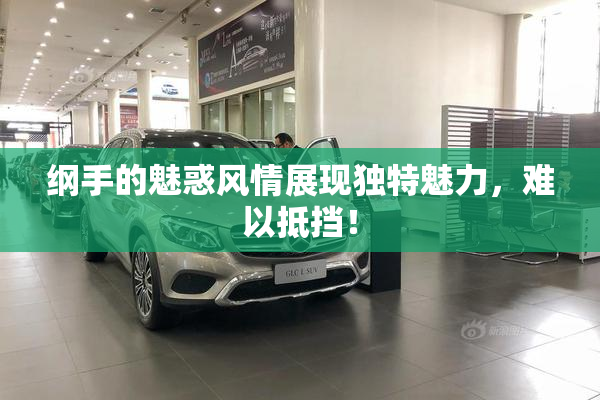 纲手的魅惑风情展现独特魅力，难以抵挡！