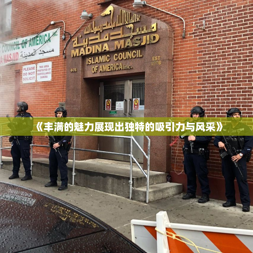 《丰满的魅力展现出独特的吸引力与风采》