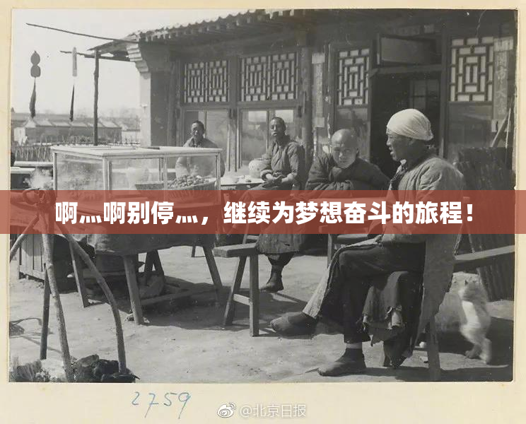 啊灬啊别停灬，继续为梦想奋斗的旅程！