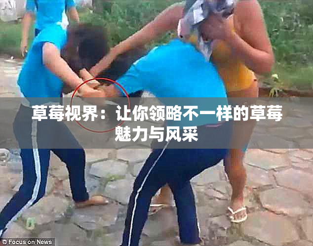 草莓视界：让你领略不一样的草莓魅力与风采