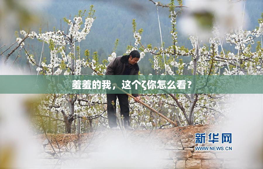 羞羞的我，这个ζ你怎么看？
