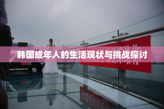 韩国成年人的生活现状与挑战探讨