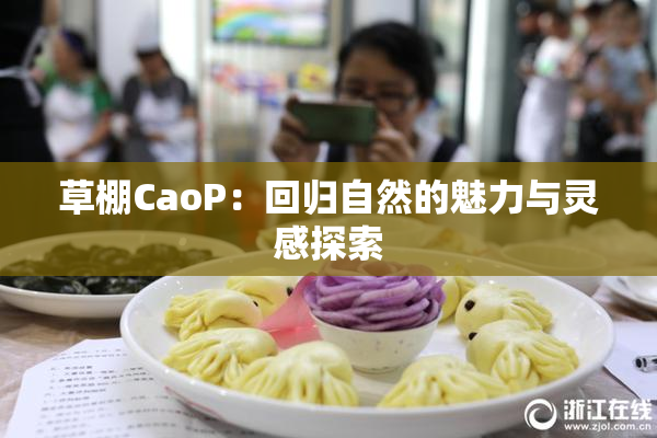 草棚CaoP：回归自然的魅力与灵感探索