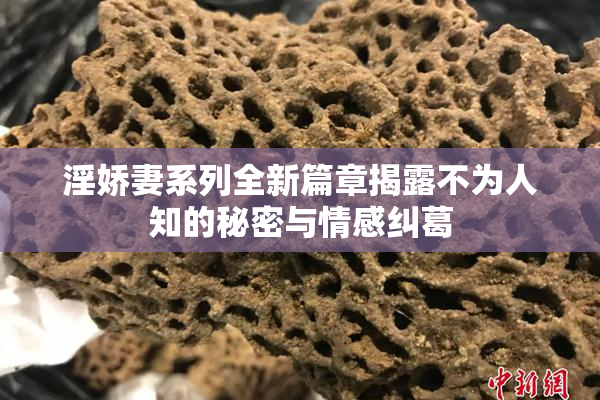 淫娇妻系列全新篇章揭露不为人知的秘密与情感纠葛