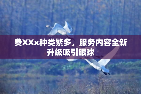 费XXx种类繁多，服务内容全新升级吸引眼球