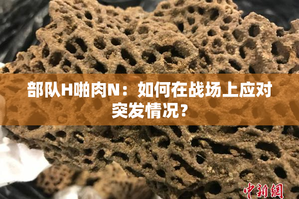 部队H啪肉N：如何在战场上应对突发情况？