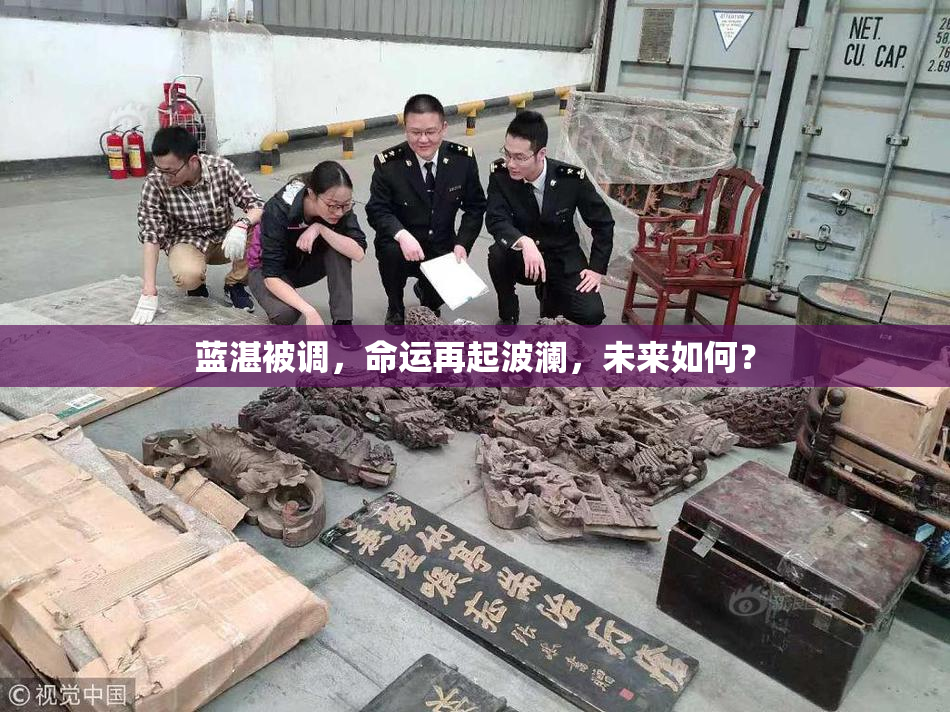 蓝湛被调，命运再起波澜，未来如何？
