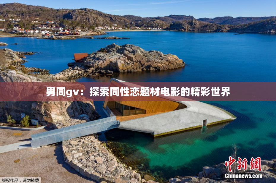 男同gv：探索同性恋题材电影的精彩世界