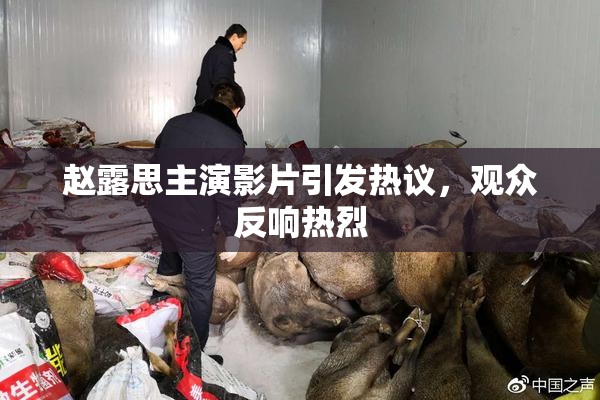 赵露思主演影片引发热议，观众反响热烈
